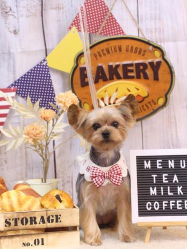 20240919メイちゃん